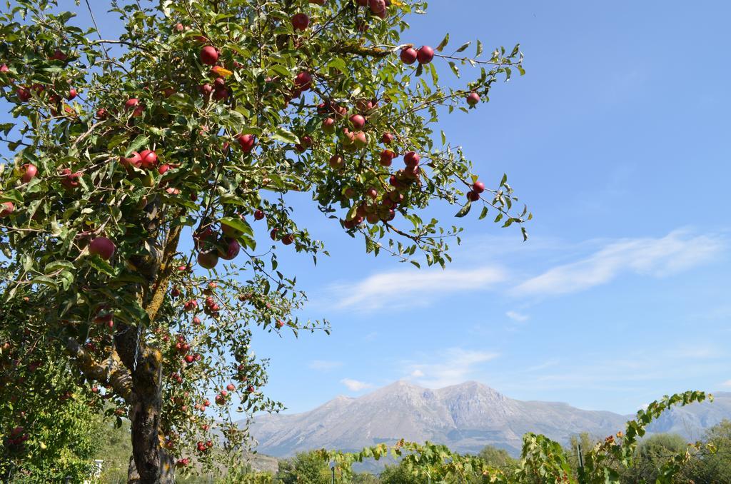 Agriturismo Villa Palentina Scurcola Marsicana Eksteriør bilde