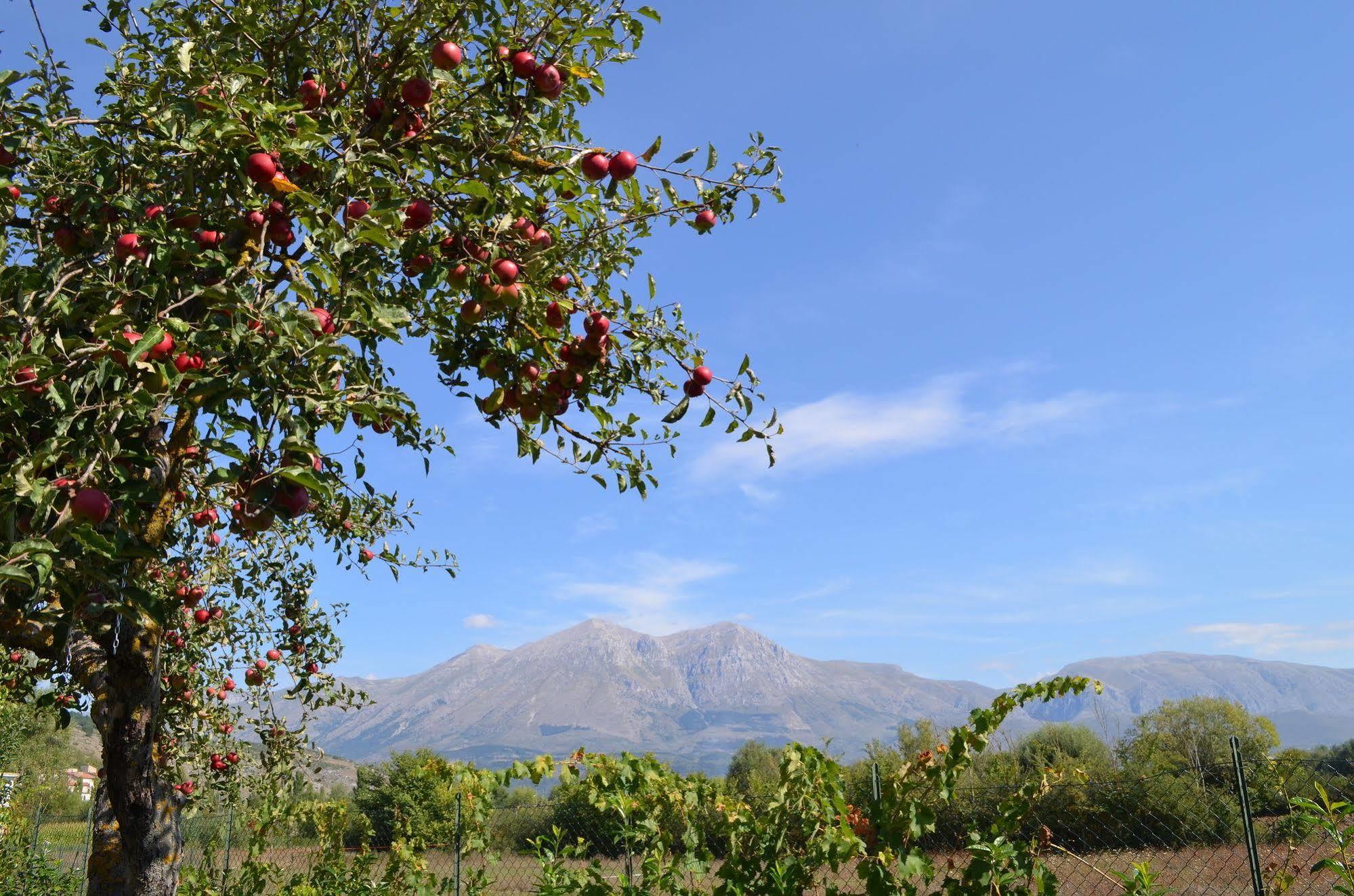 Agriturismo Villa Palentina Scurcola Marsicana Eksteriør bilde